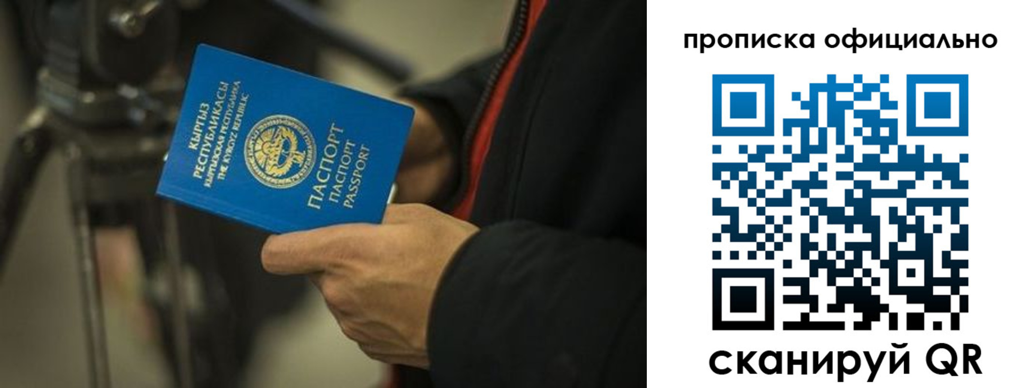 прописка в Сосенском